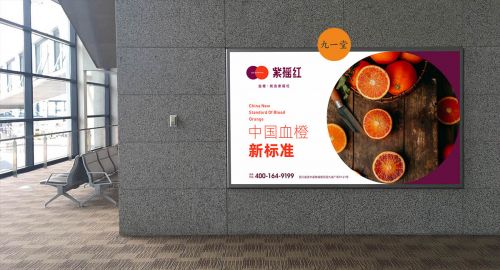 新產品上市五步走