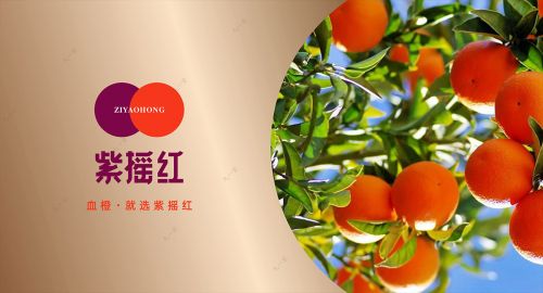 企業logo有哪些必要點你需要了解